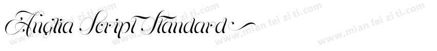 Anglia Script Standard字体转换